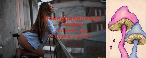 mdpv Богородск