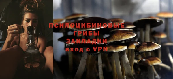 mdpv Богородск