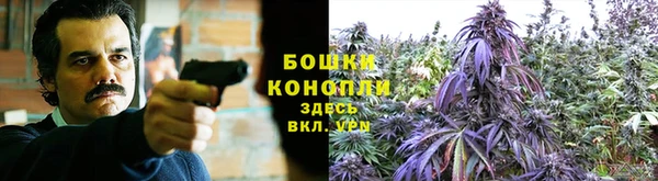 мет Богданович