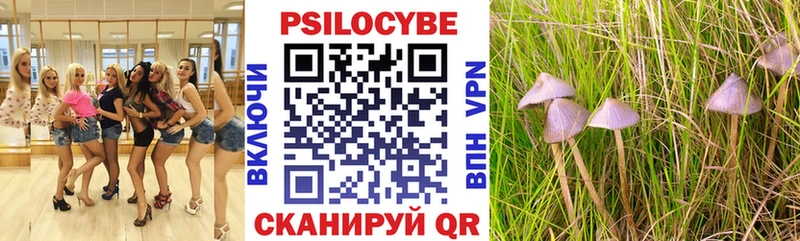 Галлюциногенные грибы Magic Shrooms  Купить где  Гудермес 
